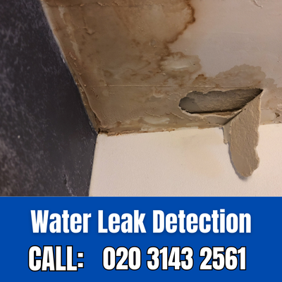 Expert Water Leak Detection Services in Kensington | Kensington Leak Detection